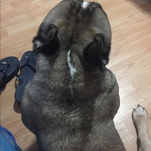 Meet your Posher, Mary